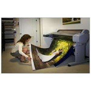 imageAlliance 10 mil Photo Base Gloss Finish Paper 50 x 100 x 3core w2 adapter For Aqueous Printers 1 rollcarton 2363